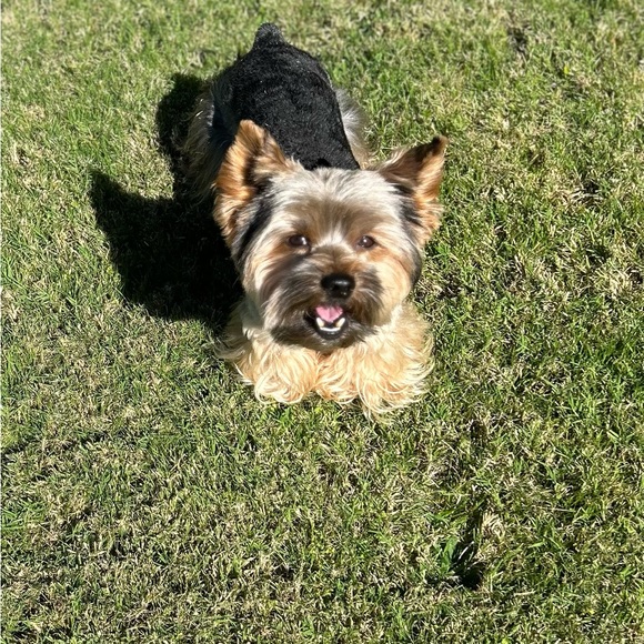 Meet your Posher, Susan - Picture 8 of 8